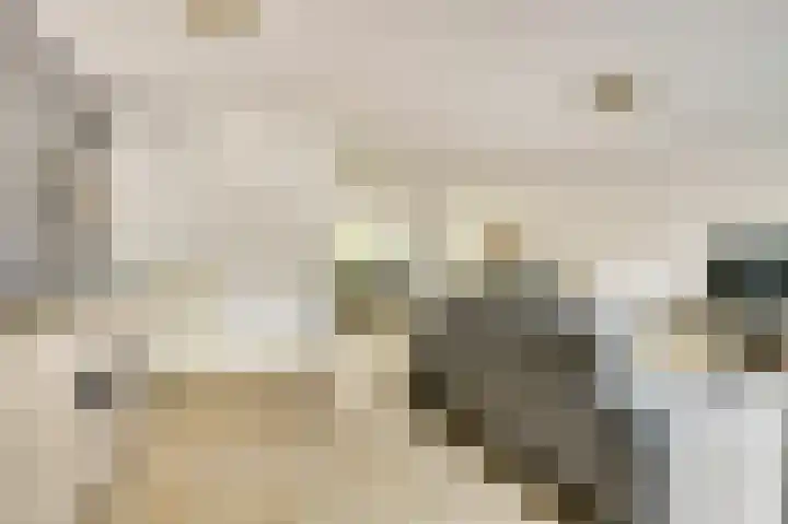 Het Doel 7 Hilvarenbeek thumbnail 13