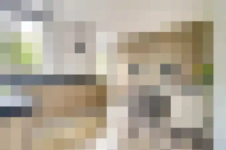 Het Doel 7 Hilvarenbeek thumbnail 16