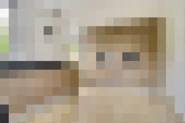 Het Doel 7 Hilvarenbeek thumbnail 18