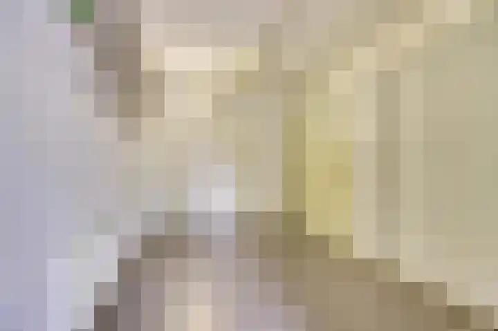 Het Doel 7 Hilvarenbeek thumbnail 22