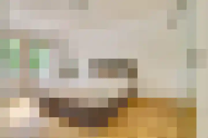Het Doel 7 Hilvarenbeek thumbnail 25