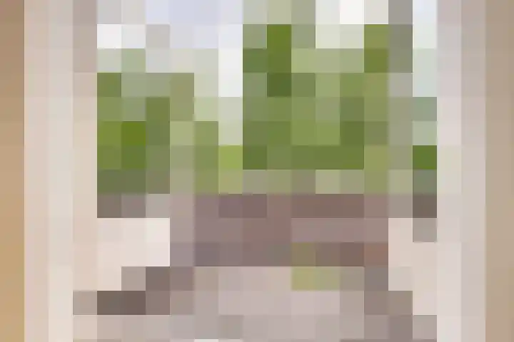 Het Doel 7 Hilvarenbeek thumbnail 27