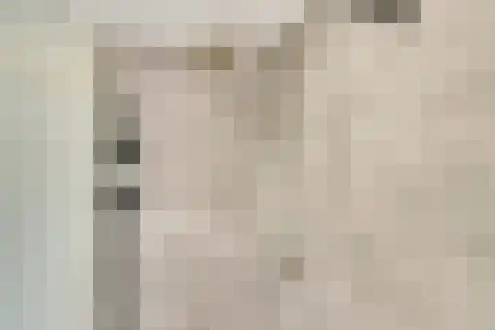 Het Doel 7 Hilvarenbeek thumbnail 33