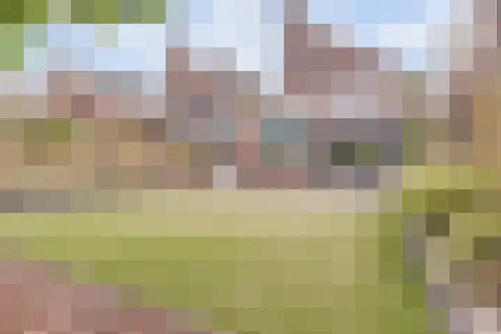 Het Doel 7 Hilvarenbeek thumbnail 37