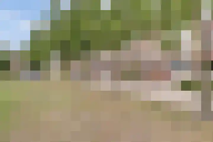 Het Doel 7 Hilvarenbeek thumbnail 40