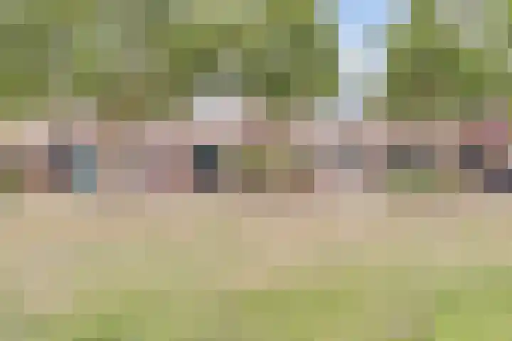 Het Doel 7 Hilvarenbeek thumbnail 41