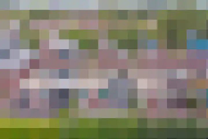 Het Doel 7 Hilvarenbeek thumbnail 43