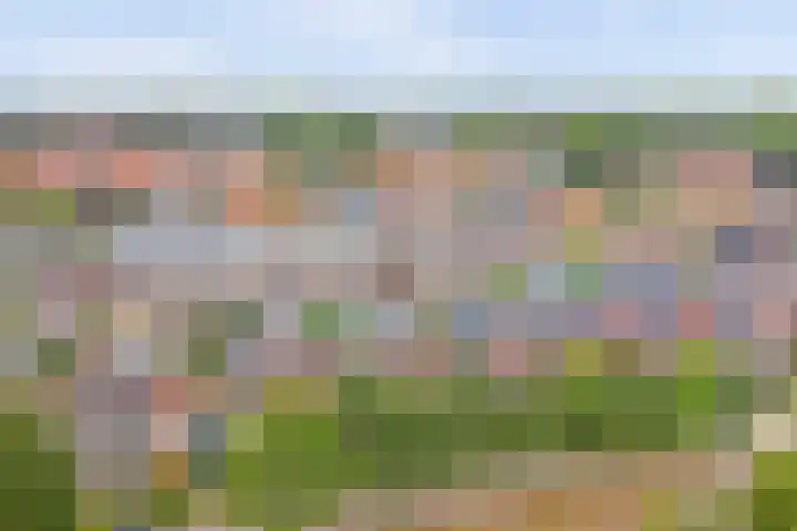Het Doel 7 Hilvarenbeek thumbnail 44