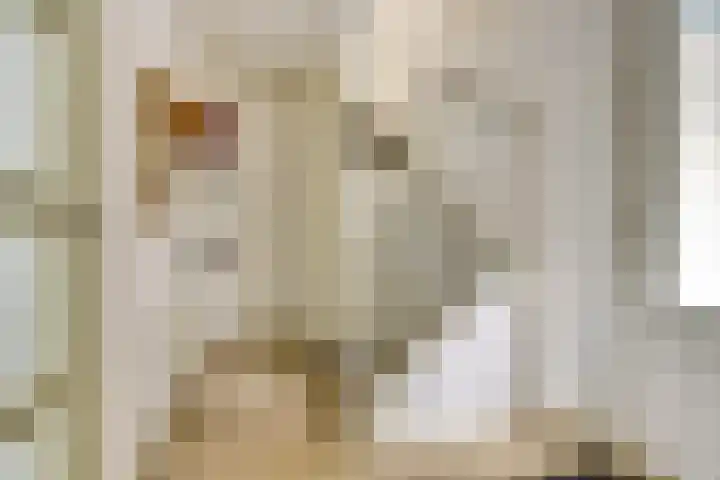 Het Doel 7 Hilvarenbeek thumbnail 6