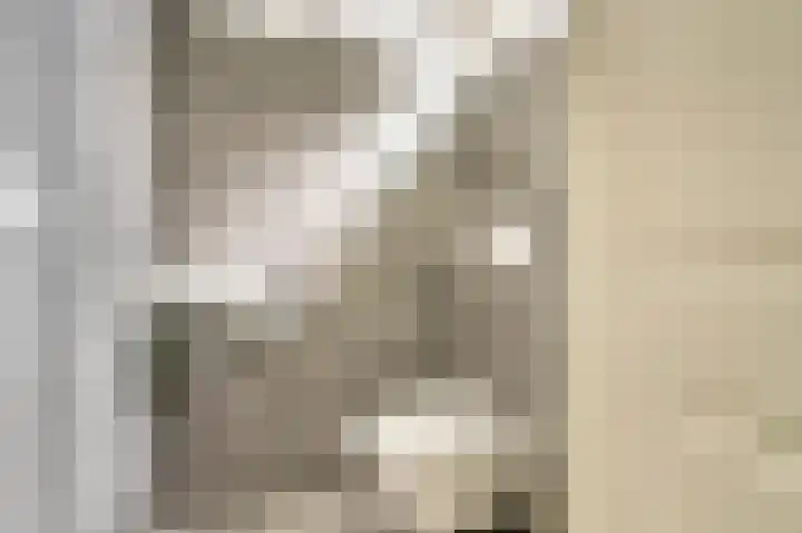 Het Doel 7 Hilvarenbeek thumbnail 7