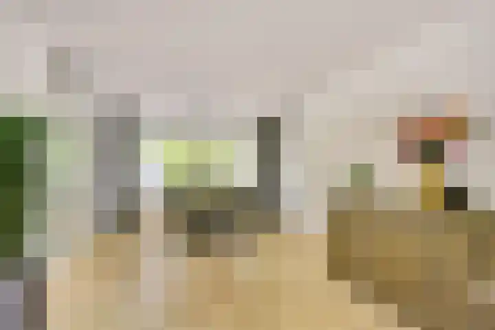 Het Doel 7 Hilvarenbeek thumbnail 9