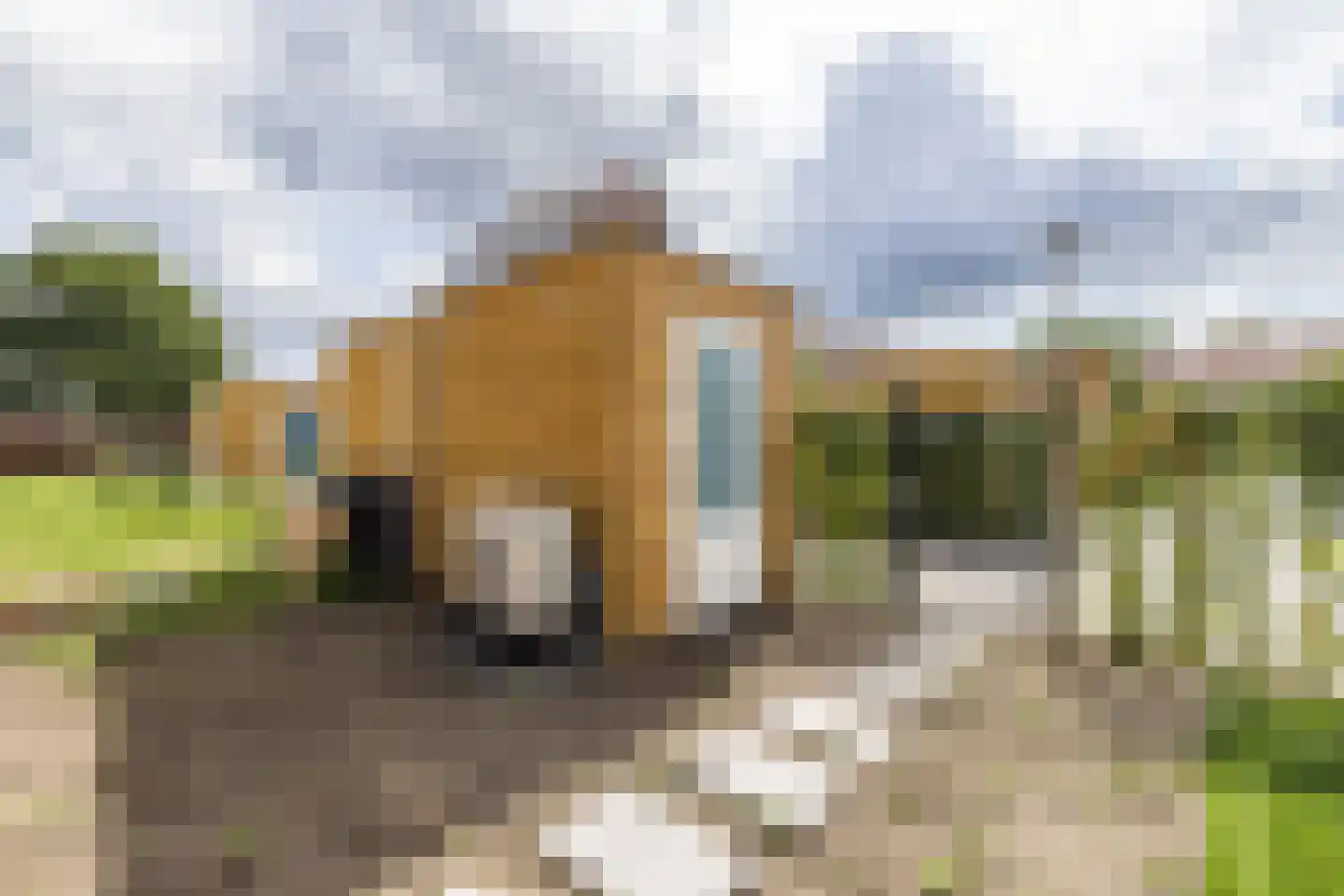 Het Doelpunt 37 Hillegom thumbnail 35