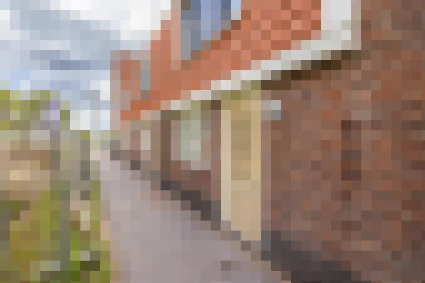Het Doelpunt 37 Hillegom thumbnail 5