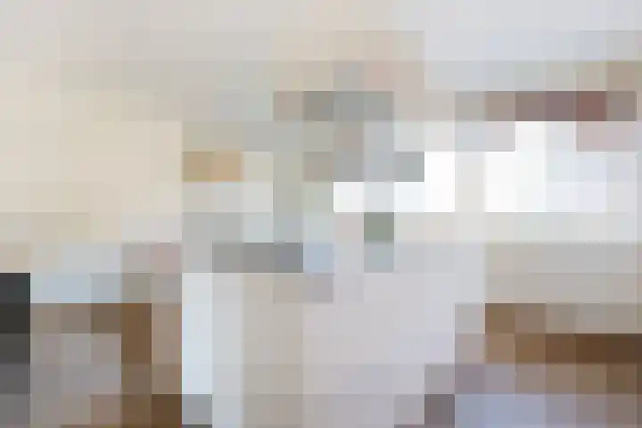 Het Dok 12 Zaandam thumbnail 11