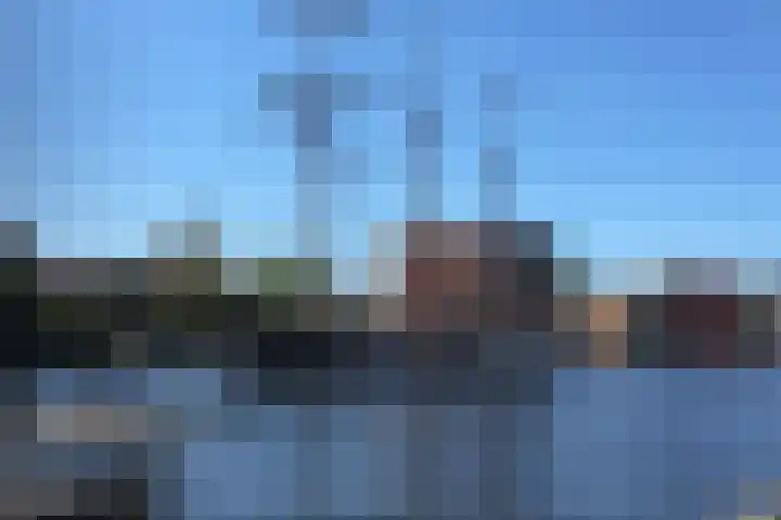 Het Dok 12 Zaandam thumbnail 13