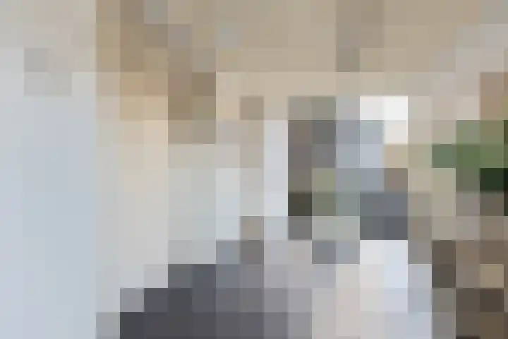 Het Dok 12 Zaandam thumbnail 32