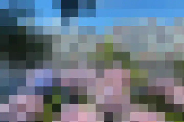 Het Dok 12 Zaandam thumbnail 37