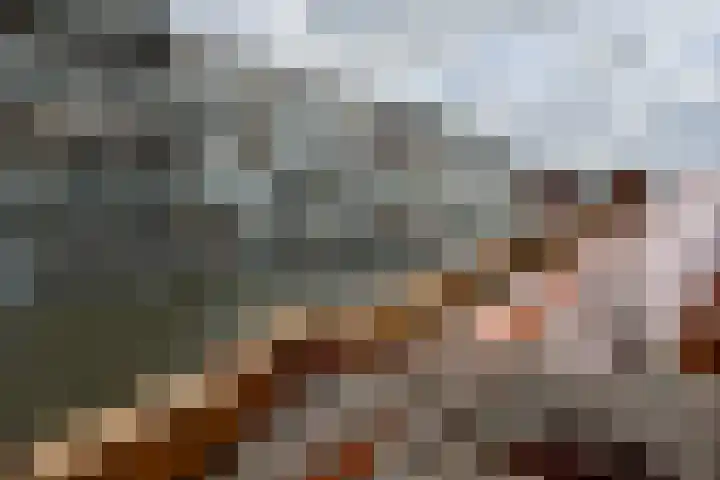 Het Dok 12 Zaandam thumbnail 38