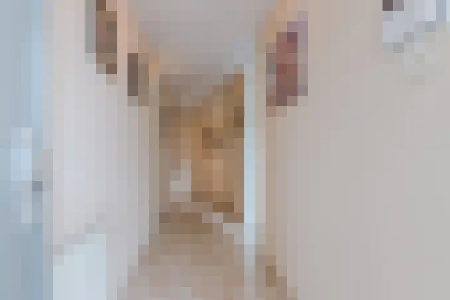 Het Dok 14 Zaandam thumbnail 10