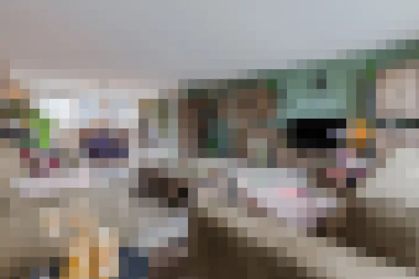 Het Dok 14 Zaandam thumbnail 21