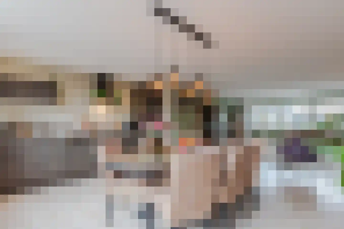 Het Dok 14 Zaandam thumbnail 22