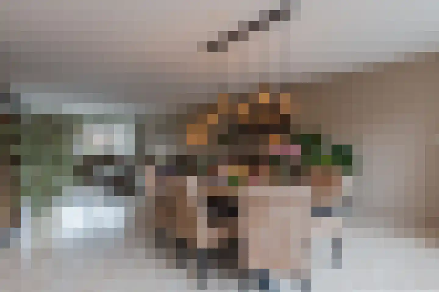 Het Dok 14 Zaandam thumbnail 24