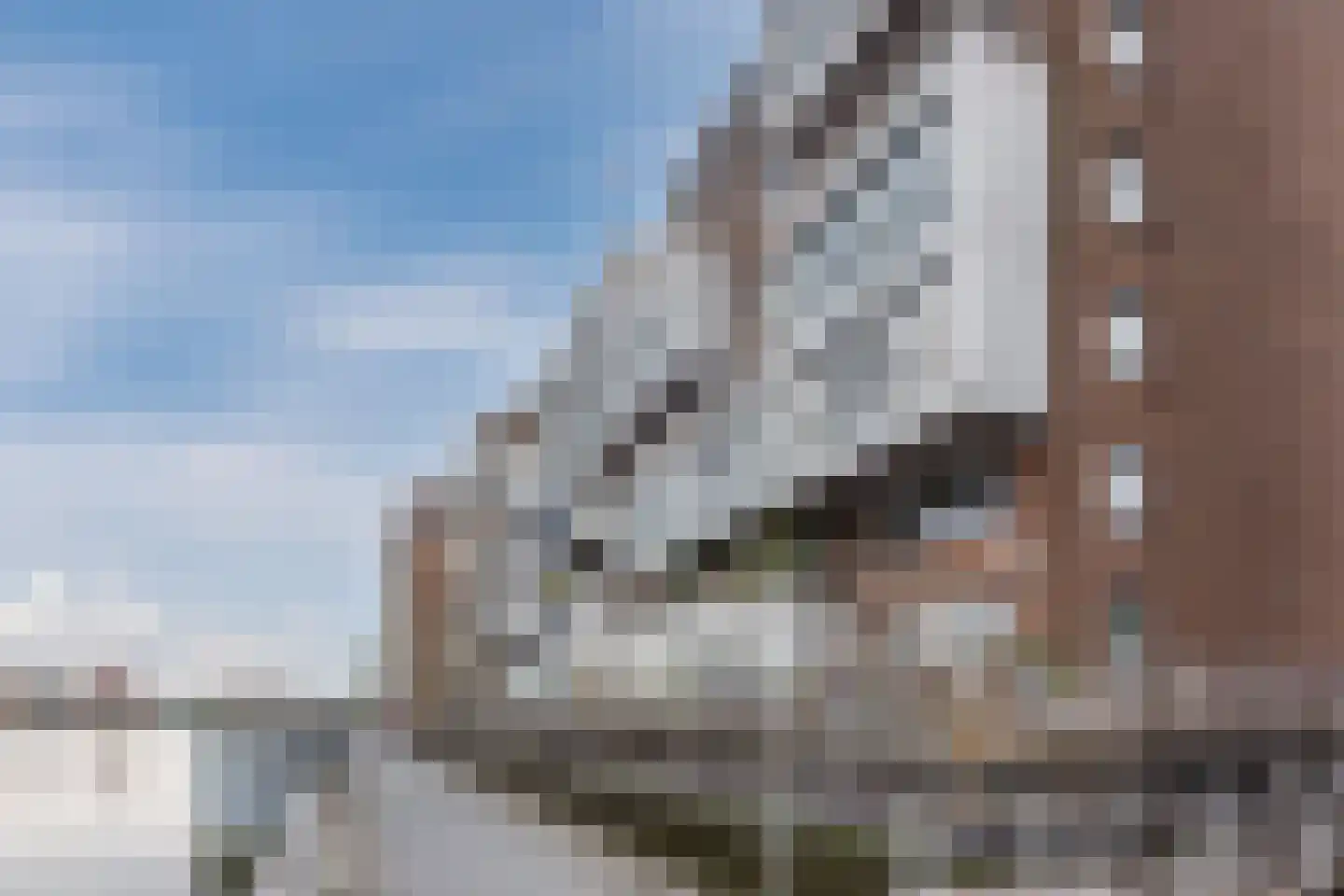 Het Dok 14 Zaandam thumbnail 32