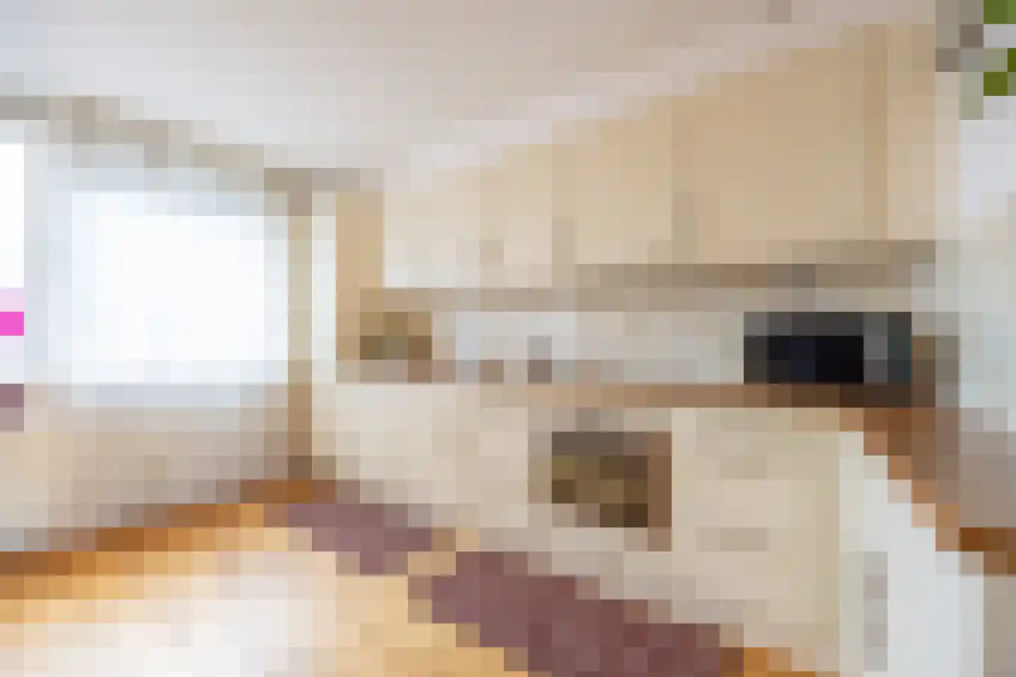 Het Dok 30 Zaandam thumbnail 10