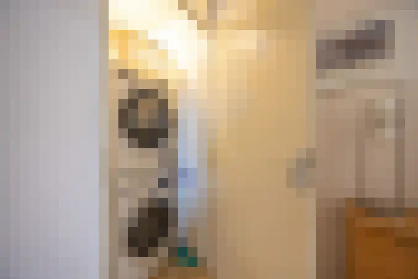 Het Dok 30 Zaandam thumbnail 27