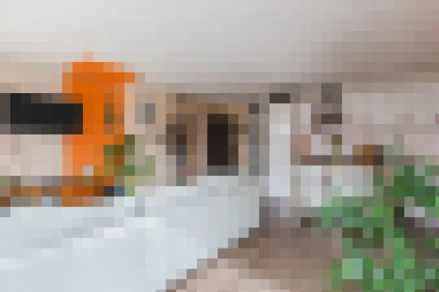 Het Dok 35 Amsterdam thumbnail 12