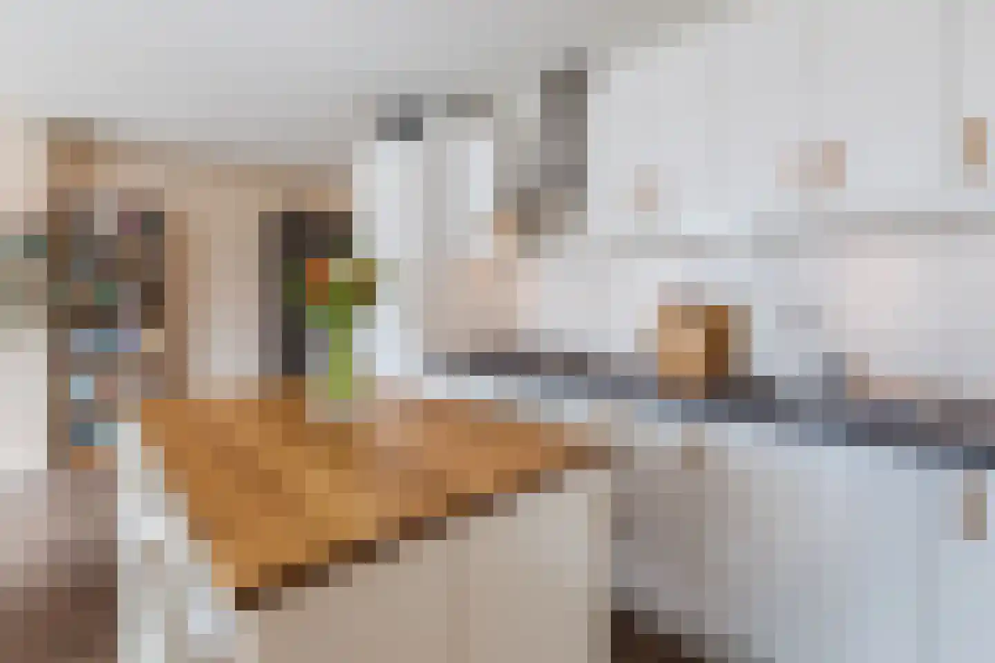 Het Dok 35 Amsterdam thumbnail 13