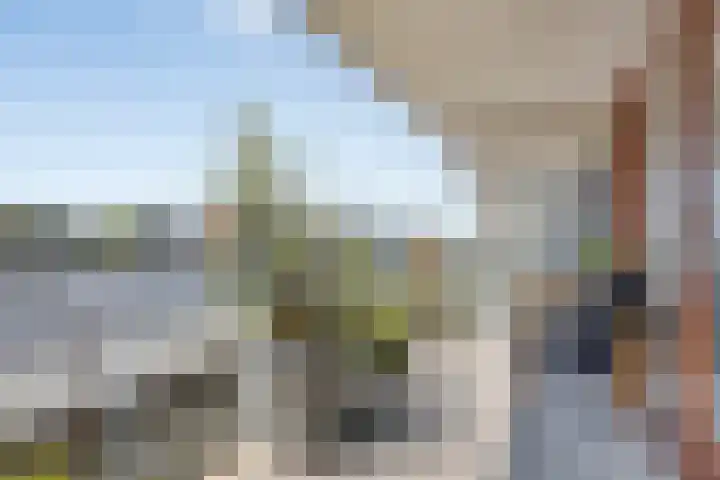 Het Dok 40 Zaandam thumbnail 18