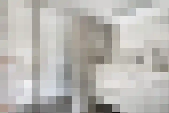 Het Dok 40 Zaandam thumbnail 22