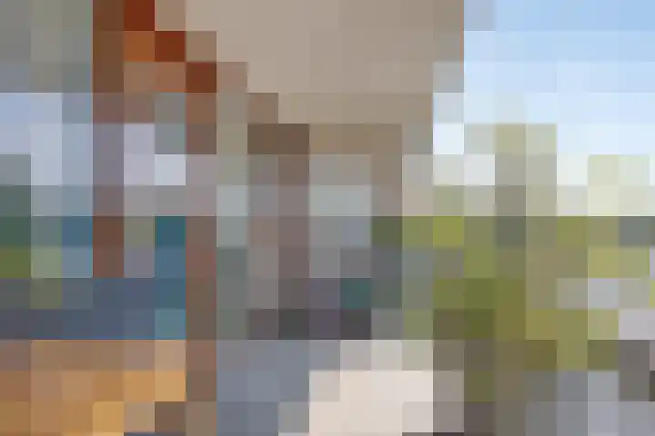 Het Dok 40 Zaandam thumbnail 25