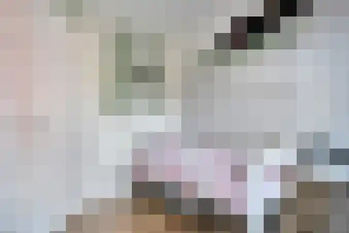 Het Dok 40 Zaandam thumbnail 26