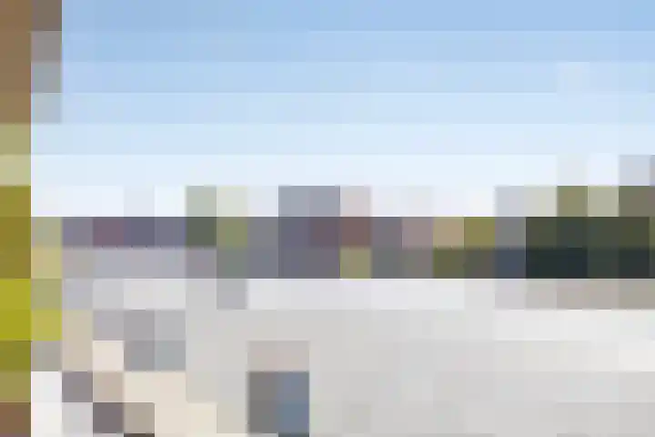 Het Dok 40 Zaandam thumbnail 30