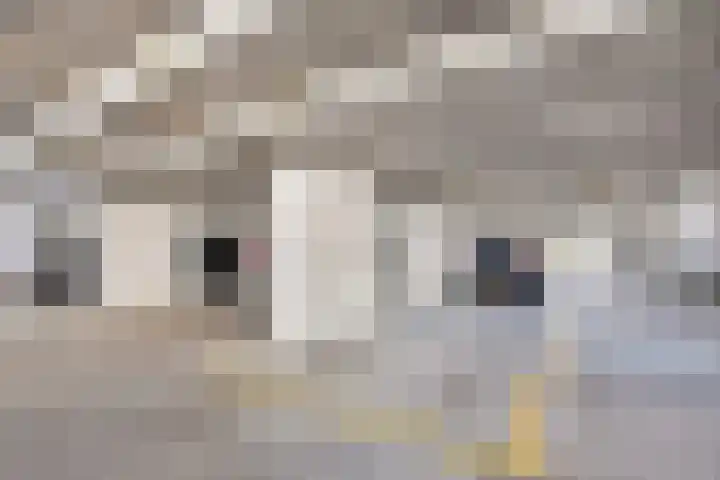 Het Dok 40 Zaandam thumbnail 31