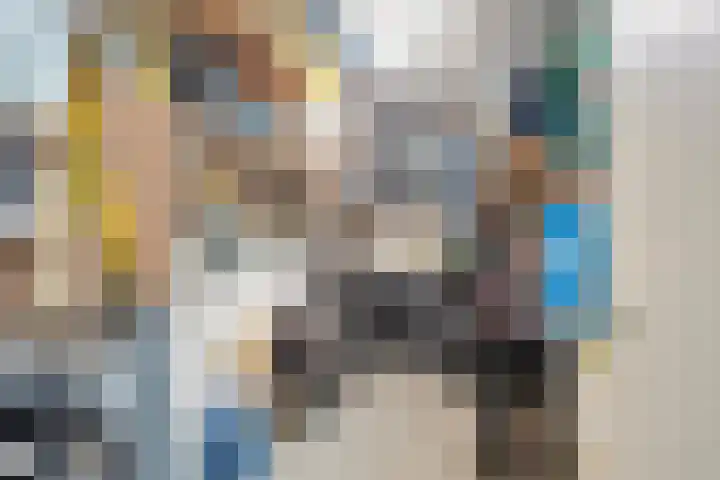 Het Dok 40 Zaandam thumbnail 32