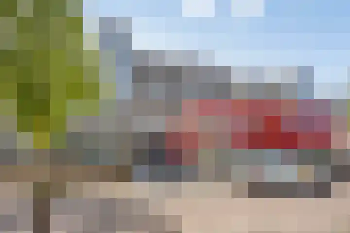 Het Dok 40 Zaandam thumbnail 35