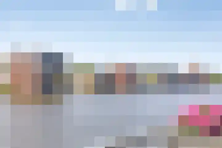 Het Dok 40 Zaandam thumbnail 4