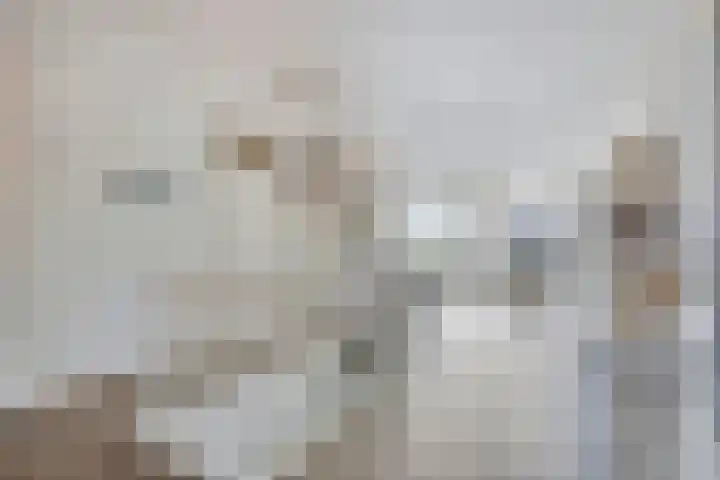 Het Dok 40 Zaandam thumbnail 8