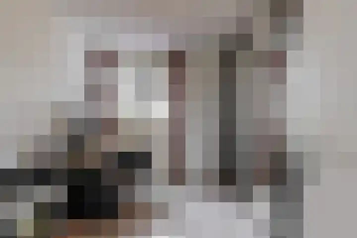 Het Dok 44 Zaandam thumbnail 17