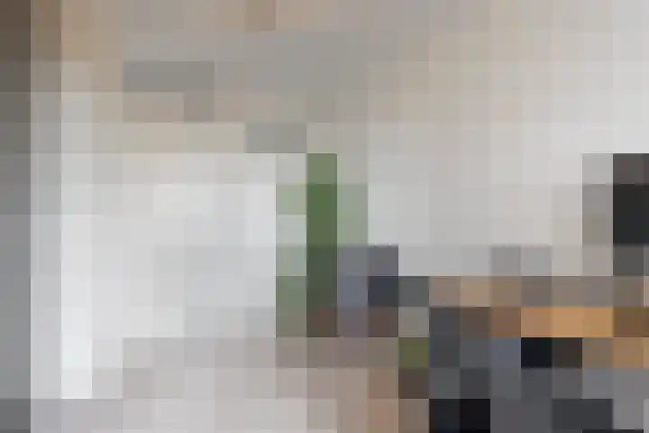 Het Dok 44 Zaandam thumbnail 18