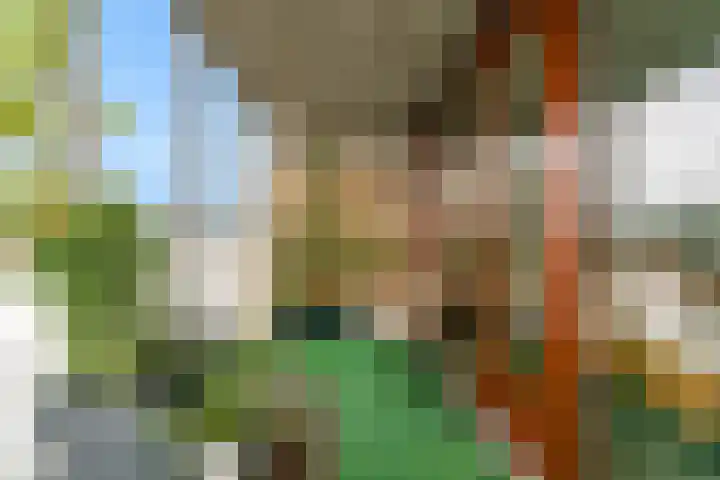 Het Dok 44 Zaandam thumbnail 19