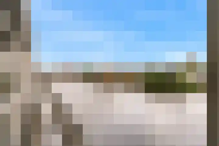 Het Dok 44 Zaandam thumbnail 20