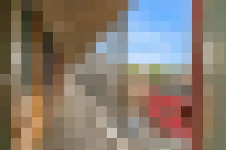 Het Dok 44 Zaandam thumbnail 27