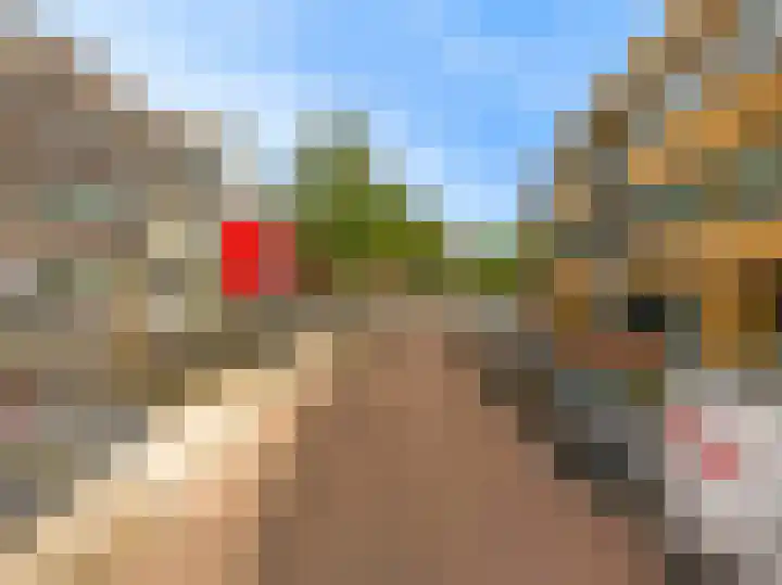 Het Dok 44 Zaandam thumbnail 29