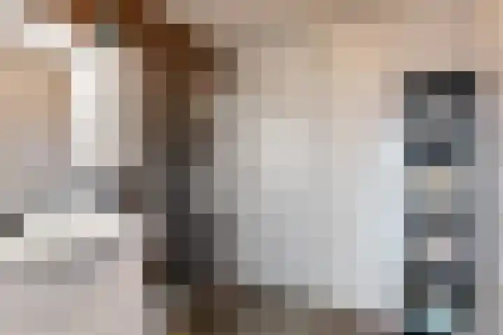 Het Dok 44 Zaandam thumbnail 4