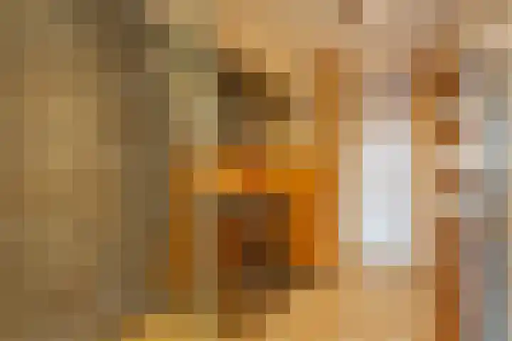 Het Dok 49 Zaandam thumbnail 16