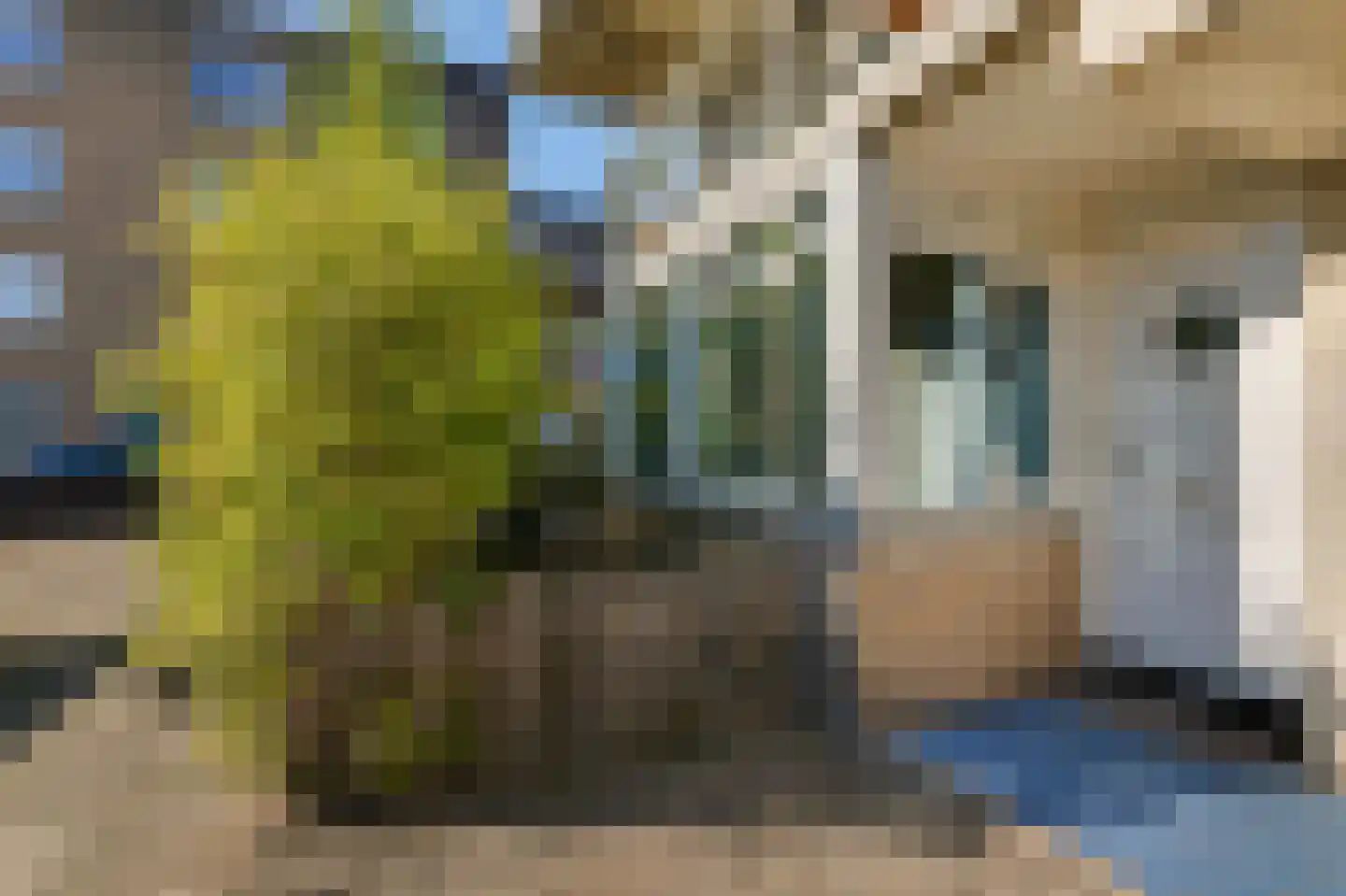 Het Dok 5 Amsterdam thumbnail 15